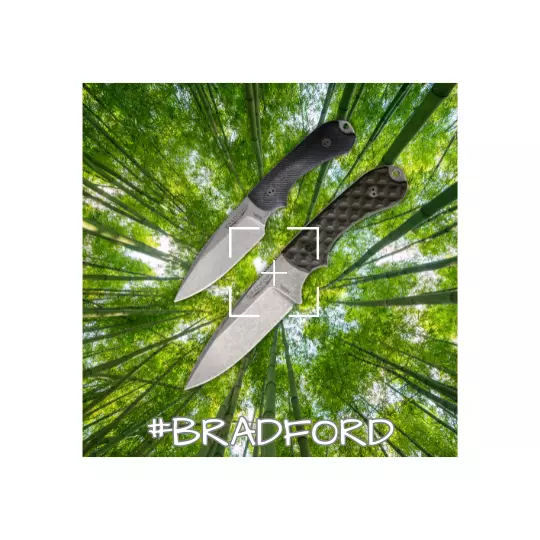 Bradford Bradford